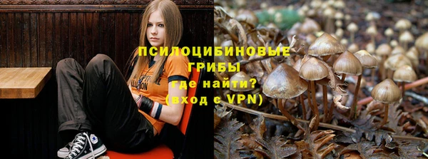 a pvp Аркадак